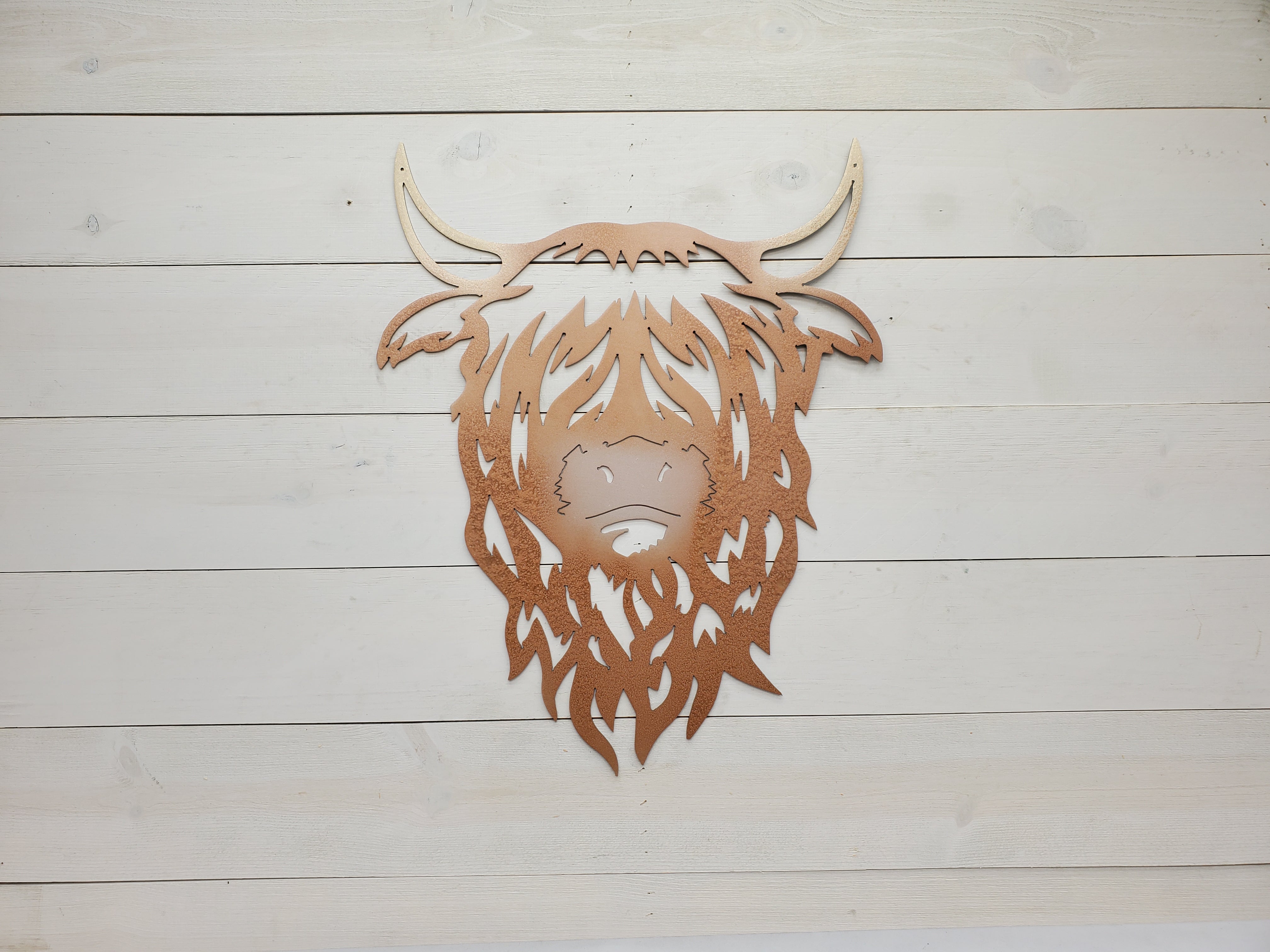 Highland Cow