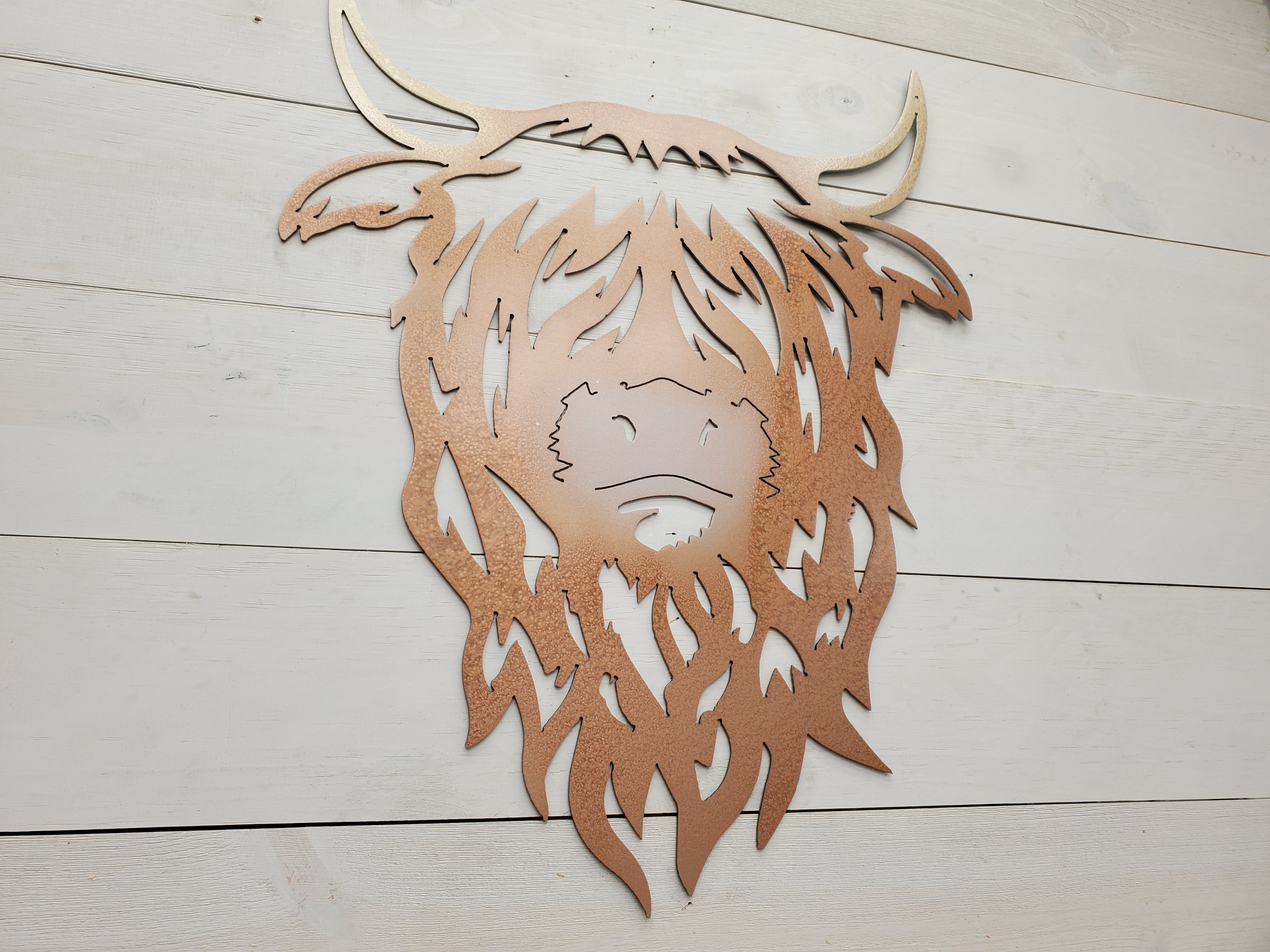 Highland Cow