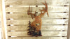 Drop Tine Buck Scene - Hersey Customs Inc.